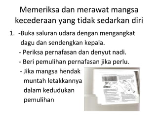 Memeriksa dan merawat mangsa kecederaan yang tidak sedarkan diri -Buka saluran udara dengan mengangkat  dagu dan sendengkan kepala.  - Periksa pernafasan dan denyut nadi.  - Beri pemulihan pernafasan jika perlu.   - Jika mangsa hendak  muntah letakkannya  dalam kedudukan  pemulihan  