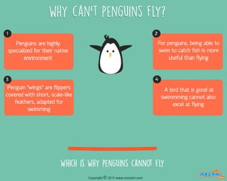 Why can't Penguins fly?