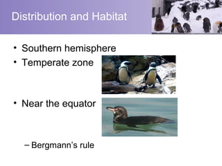 Distribution and Habitat

• Southern hemisphere
• Temperate zone



• Near the equator



  – Bergmann’s rule
 
