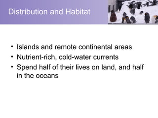 Distribution and Habitat



• Islands and remote continental areas
• Nutrient-rich, cold-water currents
• Spend half of their lives on land, and half
  in the oceans
 