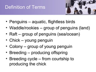 Definition of Terms

•   Penguins – aquatic, flightless birds
•   Waddle/rookies – group of penguins (land)
•   Raft – group of penguins (sea/ocean)
•   Chick – young penguin
•   Colony – group of young penguin
•   Breeding – producing offspring
•   Breeding cycle – from courtship to
    producing the chick
 