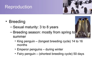 Reproduction


• Breeding
  – Sexual maturity: 3 to 8 years
  – Breeding season: mostly from spring to
    summer
    • King penguin – (longest breeding cycle) 14 to 16
      months
    • Emperor penguins – during winter
    • Fairy penguin – (shortest breeding cycle) 50 days
 