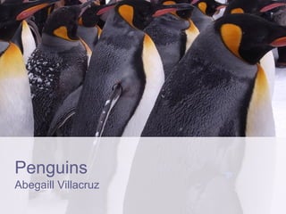 Penguins
Abegaill Villacruz
 