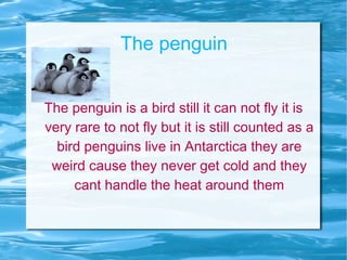 The penguin The penguin is a bird still it can not fly it is very rare to not fly but it is still counted as a bird penguins live in Antarctica they are weird cause they never get cold and they cant handle the heat around them 