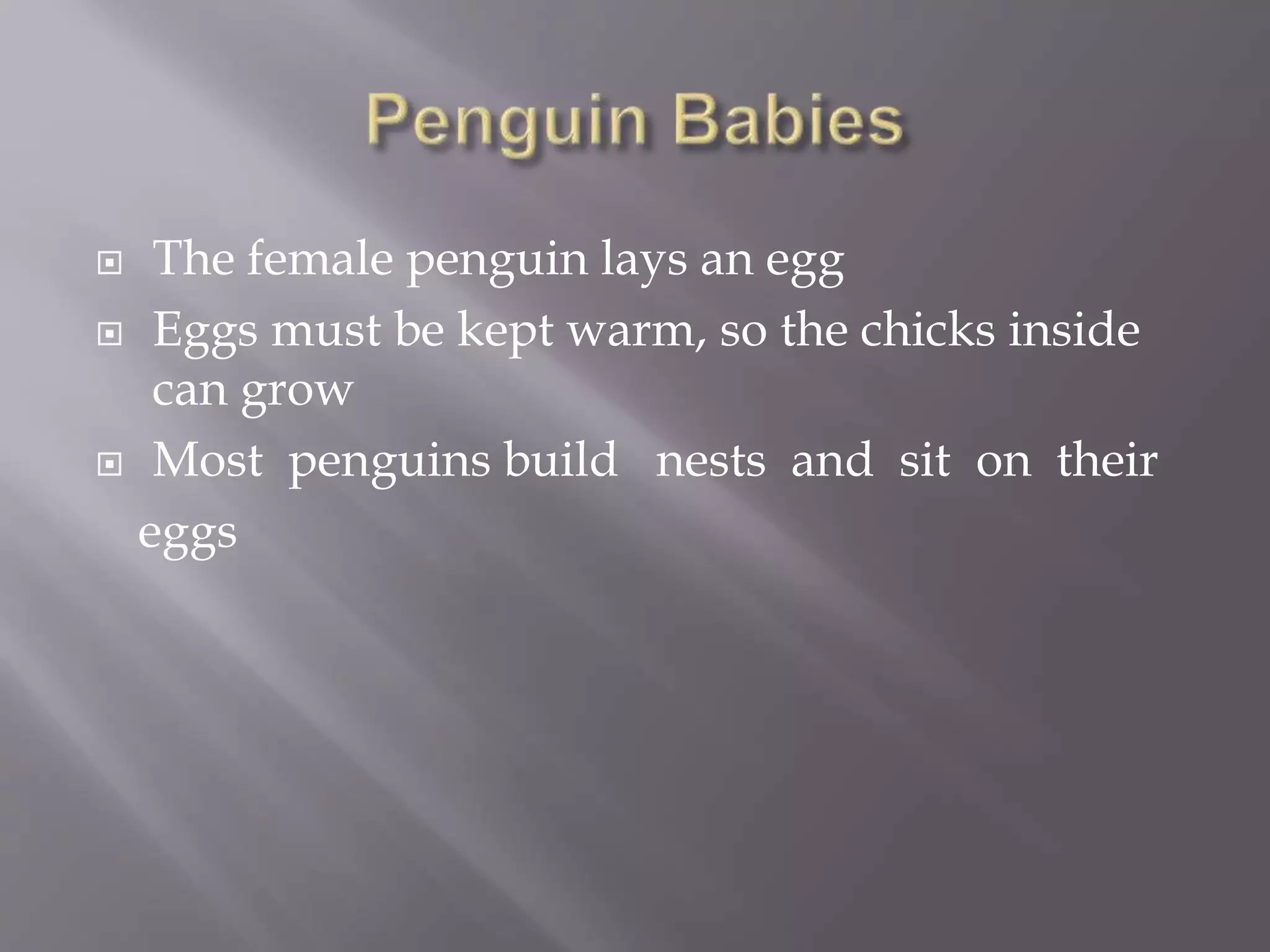  The female penguin lays an egg
 Eggs must be kept warm, so the chicks inside
can grow
 Most penguins build nests and sit on their
eggs
 