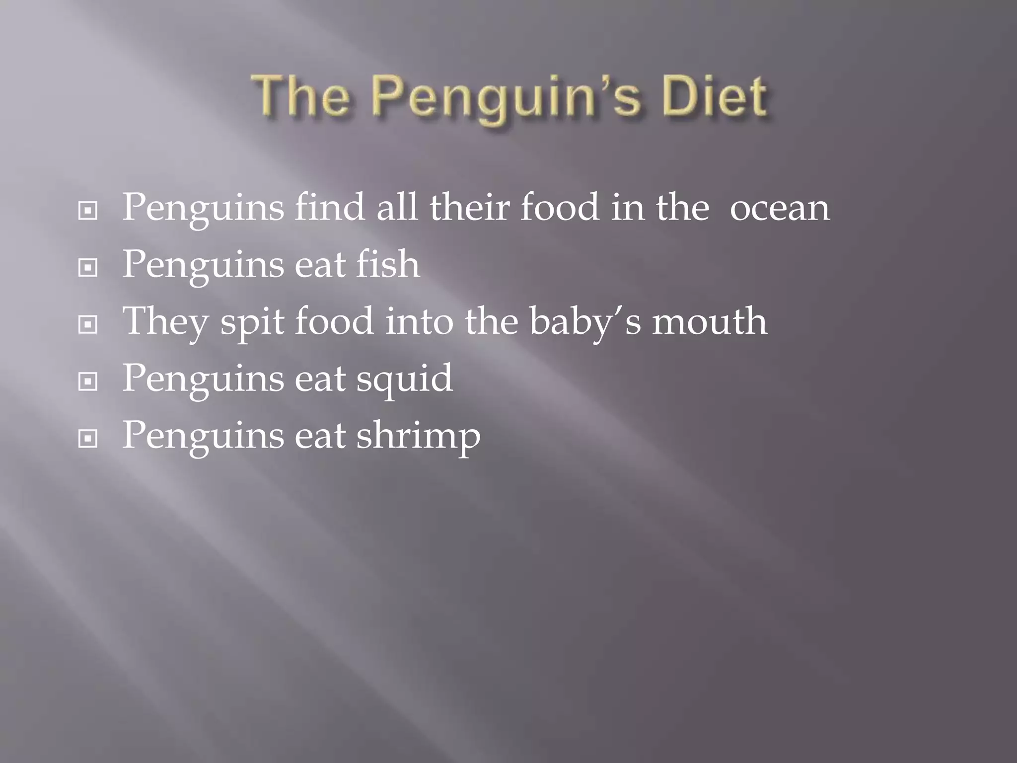  Penguins find all their food in the ocean
 Penguins eat fish
 They spit food into the baby’s mouth
 Penguins eat squid
 Penguins eat shrimp
 