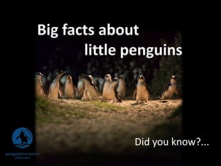 Did you know?...
 