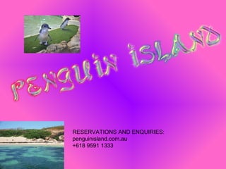 RESERVATIONS AND ENQUIRIES:
penguinisland.com.au
+618 9591 1333
 