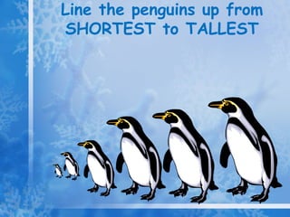 Line the penguins up from SHORTEST to TALLEST 