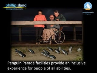 Penguin Parade facilities provide an inclusive
experience for people of all abilities.
 