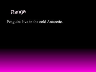 RangePenguins live in the cold Antarctic.