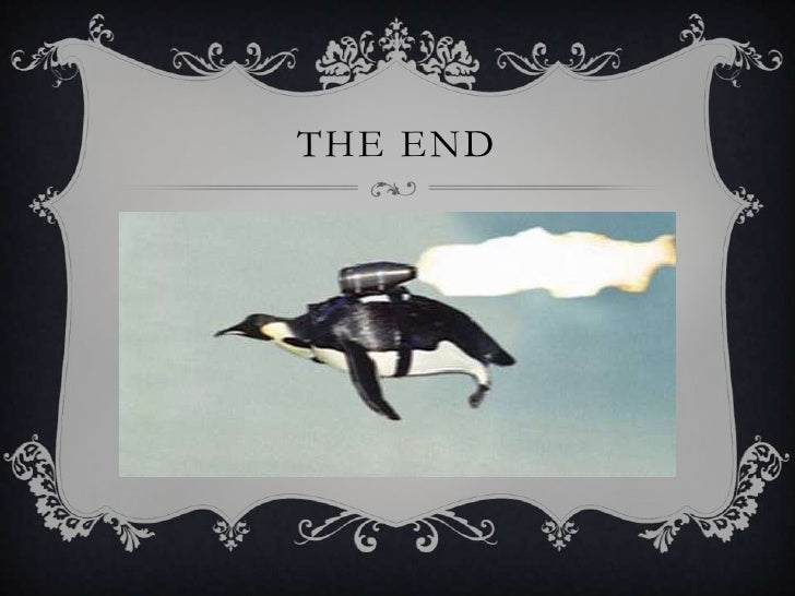 Penguin presentation