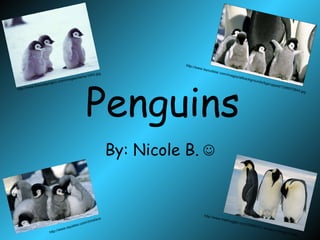 Penguins By: Nicole B.    http://www.thecuteproject.com/images/items/1043.jpg http://www.layoutstar.com/images/allbackgrounds/bgs/upped/1246970844.jpg http://www.squidoo.com/chrisfavs http://www.treehugger.com/20090127-emperor-penguins.jpg 