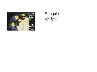 Penguin
by Tyler
 