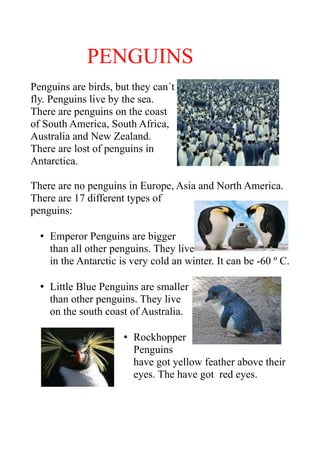 PENGUINS
Penguins are birds, but they can´t
fly. Penguins live by the sea.
There are penguins on the coast
of South America, South Africa,
Australia and New Zealand.
There are lost of penguins in
Antarctica.

There are no penguins in Europe, Asia and North America.
There are 17 different types of
penguins:

  • Emperor Penguins are bigger
    than all other penguins. They live
    in the Antarctic is very cold an winter. It can be -60 º C.

  • Little Blue Penguins are smaller
    than other penguins. They live
    on the south coast of Australia.

                      • Rockhopper
                        Penguins
                        have got yellow feather above their
                        eyes. The have got red eyes.
 