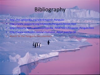 Bibliography http://en.wikipedia.org/wiki/Emperor_Penguins http://www.seaworld.org/infobooks/Penguins/home.html http://encarta.msn.com/encyclopedia_701879221/Emperor_Penguin.html http://www.zoobooks.com/animalsatoz_detail.aspx?q=18 March Of the Penguins Documentary 