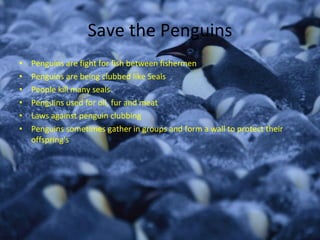 Save the Penguins Penguins are fight for fish between fishermen Penguins are being clubbed like Seals People kill many seals Penguins used for oil, fur and meat Laws against penguin clubbing Penguins sometimes gather in groups and form a wall to protect their offspring's 