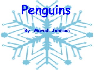 Penguins
By: Mariah Johnson
 