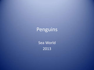 Penguins
Sea World
2013

 