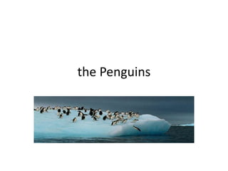 the Penguins
 
