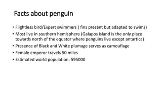 Penguins medicine and diseases | PPT