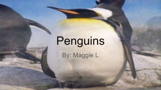 Penguins
By: Maggie L
 