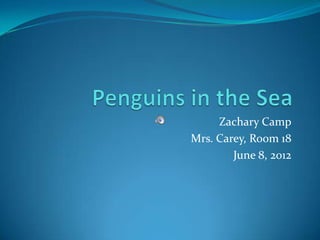 Zachary Camp
Mrs. Carey, Room 18
        June 8, 2012
 