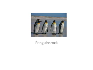 Penguinsrock

 