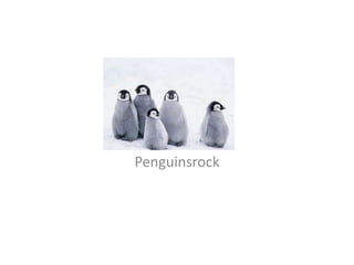 Penguinsrock

 