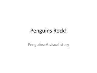 Penguins Rock!
Penguins: A visual story
 
