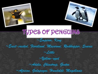 ~Emperor, King
~Erect-crested, Fiordland, Macaroni, Rockhopper, Snares
                        ~Little
                      ~Yellow-eyed
               ~Adelie, Chinstrap, Gentoo
      ~African, Galapagos, Humboldt, Magellanic
 