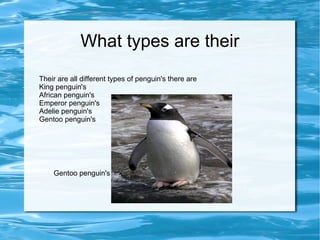 What types are their Their are all different types of penguin's there are King penguin's  African penguin's Emperor penguin's Adelie penguin's Gentoo penguin's Gentoo penguin's 