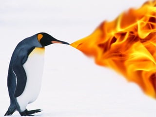 Penguin update - The horror story- Funny