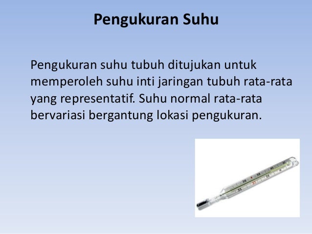 Pengukuran tinggi badan, berat badan,