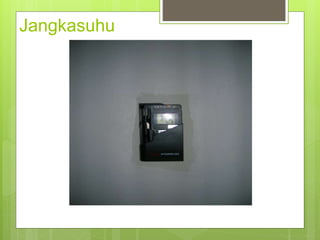 Jangkasuhu
 