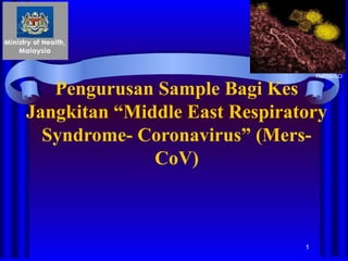 Pengurusan Sample Bagi Kes
Jangkitan “Middle East Respiratory
Syndrome- Coronavirus” (Mers-
CoV)
1
Ref:NIAID
 