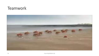 Teamwork
90 hakmilik@MBAM.IAB
 