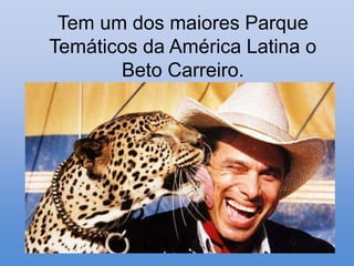 Tem um dos maiores Parque
Temáticos da América Latina o
       Beto Carreiro.
 