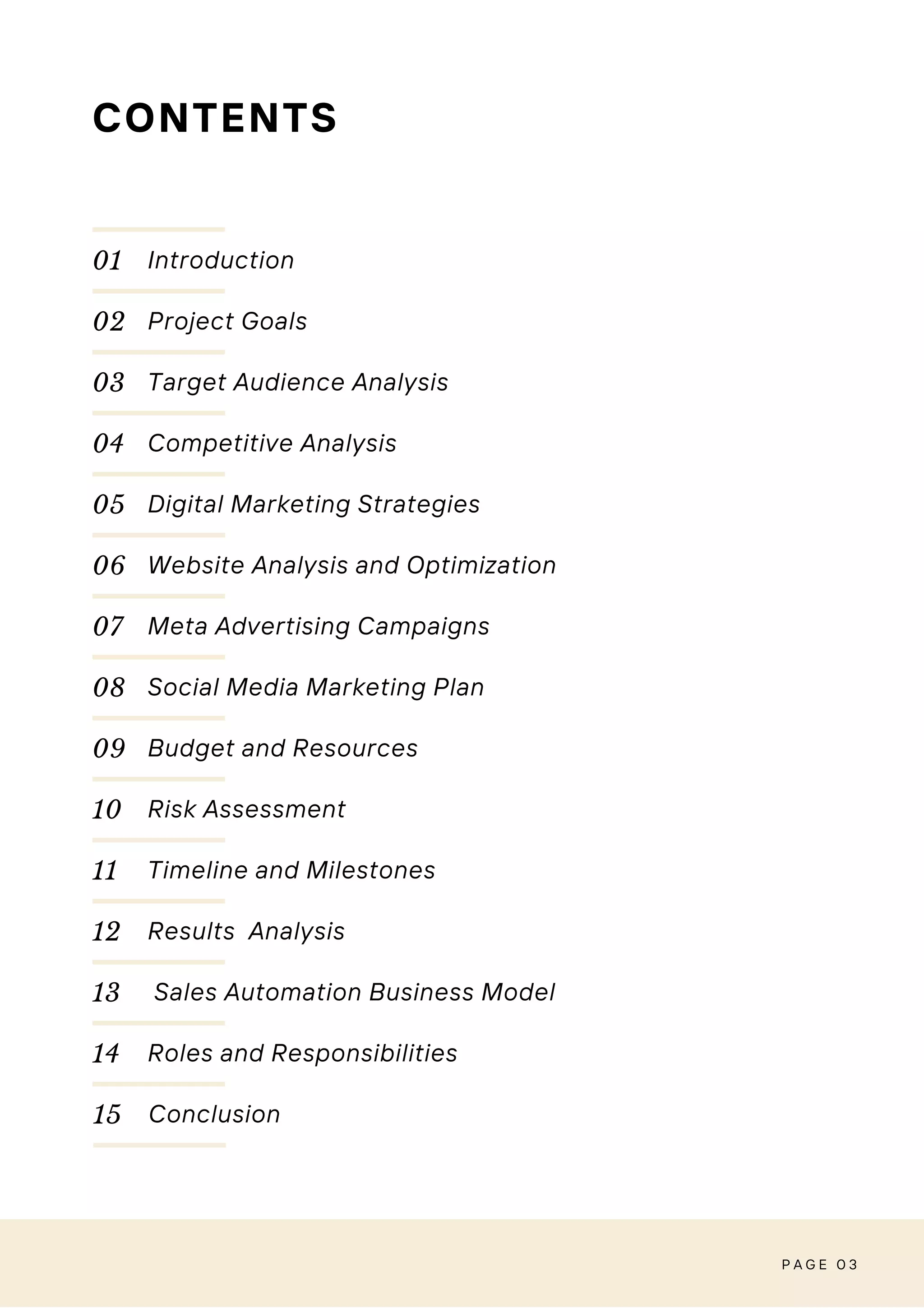 digital marketing project strategy | PDF
