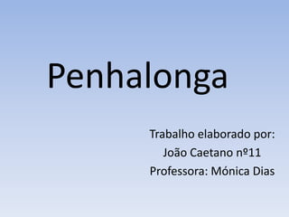 Penhalonga
     Trabalho elaborado por:
        João Caetano nº11
     Professora: Mónica Dias
 