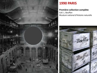 1990 PARIS
Première collection complète
Coll. L. Bouffon
Muséum national d’Histoire naturelle




                                 14
 