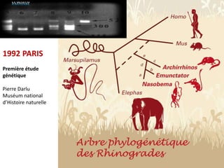 1992 PARIS
Première étude
génétique

Pierre Darlu
Muséum national
d’Histoire naturelle




                       15
 