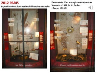 2012 PARIS                                      Découverte d’un enregistrement sonore
                                                Vanuatu – 1962 Pr. H. Tauber
Exposition Muséum national d’histoire naturelle
                                                J Sueur, MNHN




                                                                                  19
 