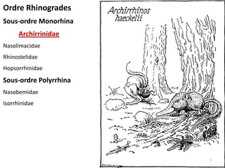 Ordre Rhinogrades
Sous-ordre Monorhina
      Archirrinidae
Nasolimacidae
Rhinostelidae
Hopsorrhinidae
Sous-ordre Polyrrhina
Nasobemidae
Isorrhinidae




                        7
 