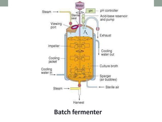 Penicclin production | PPTX