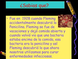 ¿Sabias que?
• Fue en 1928 cuando Fleming
accidentalmente descubrió la
Penicilina. Fleming se fue de
vacaciones y dejó comida abierta y
cuando volvió vio que una bacteria
estaba encima de la comida, esa
bacteria era la penicilina y así
Fleming descubrió lo que ahora
nosotros utilizamos para curar
enfermedades infecciosas.