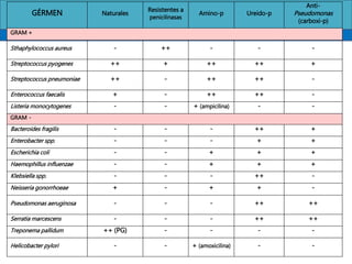 GÉRMEN Naturales
Resistentes a
penicilinasas
Amino-p Ureido-p
Anti-
Pseudomonas
(carboxi-p)
GRAM +
Sthaphylococcus aureus - ++ - - -
Streptococcus pyogenes ++ + ++ ++ +
Streptococcus pneumoniae ++ - ++ ++ -
Enterococcus faecalis + - ++ ++ -
Listeria monocytogenes - - + (ampicilina) - -
GRAM -
Bacteroides fragilis - - - ++ +
Enterobacter spp. - - - + +
Escherichia coli - - + + +
Haemophillus influenzae - - + + +
Klebsiella spp. - - - ++ -
Neisseria gonorrhoeae + - + + -
Pseudomonas aeruginosa - - - ++ ++
Serratia marcescens - - - ++ ++
Treponema pallidum ++ (PG) - - - -
Helicobacter pylori - - + (amoxicilina) - -
 