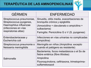 TERAPÉUTICA DE LAS AMINOPENICILINAS
GÉRMEN ENFERMEDAD
Streptococcus pneumoniae,
Streptococcus pyogenes,
Haemophilus influenzae
(infecciones en vías
respiratorias altas)
Sinusitis, otitis media, exacerbaciones de
bronquitis crónica y epiglotitis
(Amoxicilina + clavulanato o ampicilina +
sulbactama)
Faringitis: Penicicilina G o V (S. pyogenes)
Enterobacteriaceae y
Escherichia coli
Infecciones en vías urinarias no complicadas
(ampicilina)
Streptococcus pneumonie o
Neisseria meningitidis
Meningitis en niños (Ampicilina: excepto
cuando el patógeno es resistente)
Salmonella
Bacteriemia, focos metastásicos o el Sx de
fiebre entérica (fibre tifoidea)
Ampicilina
Fluoroquinolona, ceftriaxona, trimetoprima-
sulfametoxazol
 