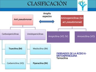 CLASIFICACIÓN
Aminopenicilinas (Sin
act pseudomonas)
Ampicilina (VO, IV) Amoxicilina (VO)
Anti pseudomonas
Carboxipenicilinas
Ticarcilina (IM)
Carbenicilina (VO)
Ureidopenicilinas
Mezlocilina (IM)
Piperacilina (IM)
Amplio
espectro
DERIVADOS DE LA ÁCIDO 6-
METOXIPENICILINA
Temocilina
 
