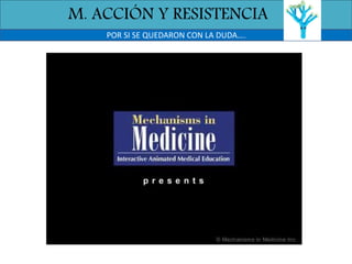 POR SI SE QUEDARON CON LA DUDA….
M. ACCIÓN Y RESISTENCIA
 